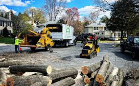 Best Seasonal Cleanup (Spring/Fall)  in North Richmond, CA