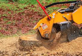Best Utility Line Clearance  in North Richmond, CA